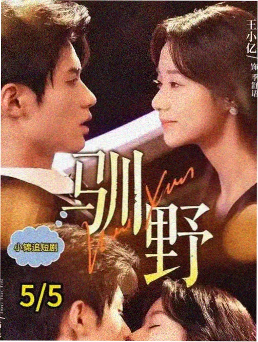 国产悬疑剧